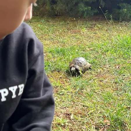 アパート Adriana & Peppino ペシュチャーナ・ウヴァラ